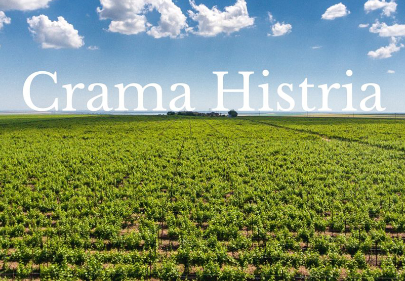 https://mwdistributie.ro/wp-content/uploads/2021/08/mw-distributie-parteneri-crama-histria.jpg
